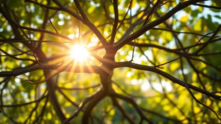 effective relevant contextual connections