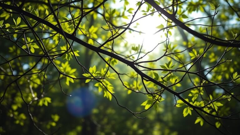 website navigation and hierarchy